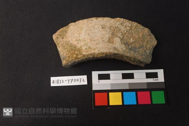 陶片藏品圖，第2張