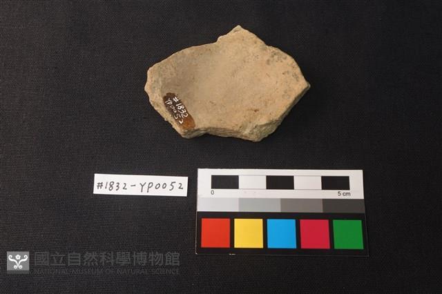 陶片藏品圖，第2張
