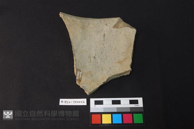 陶片藏品圖，第2張