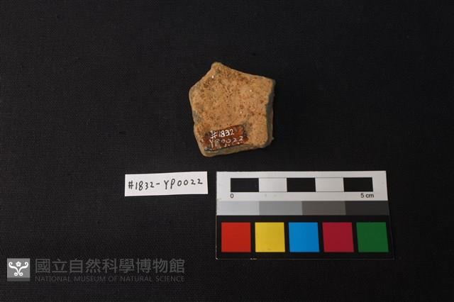 陶片藏品圖，第2張