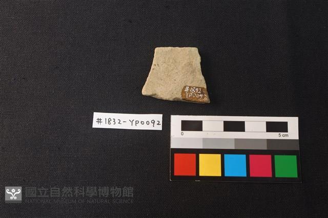 陶片藏品圖，第2張