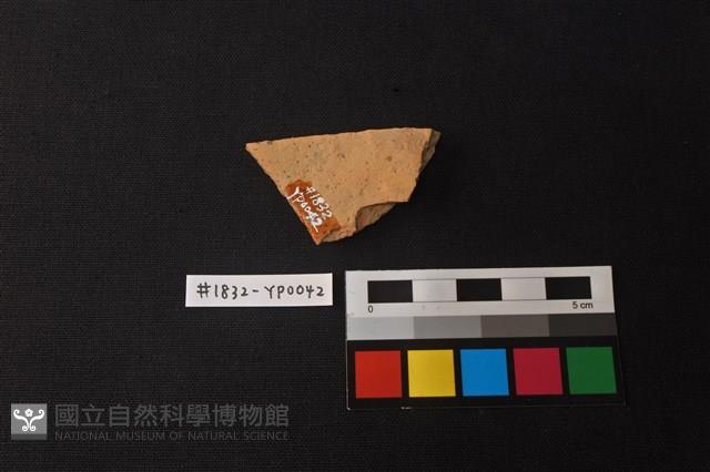 陶片藏品圖，第2張