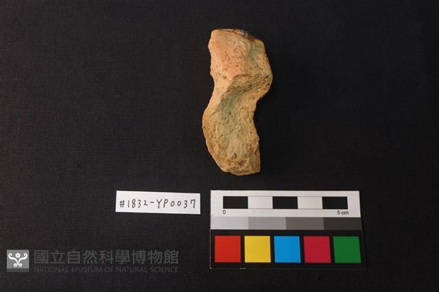 陶片藏品圖，第2張