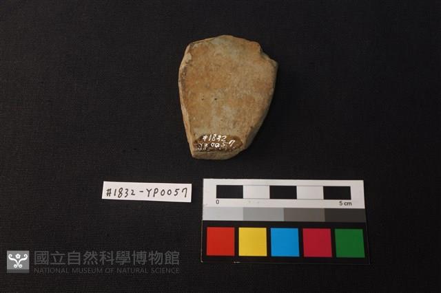 陶片藏品圖，第2張