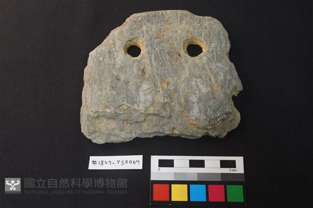 Accession Number:YS0007 Collection Image, Figure 2, Total 2 Figures