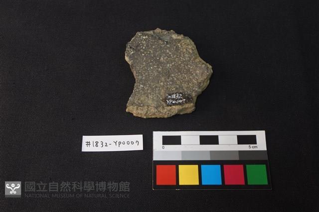 陶片藏品圖，第2張