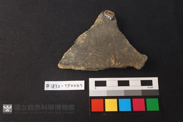 陶片藏品圖，第2張