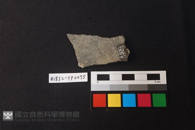陶片藏品圖，第2張
