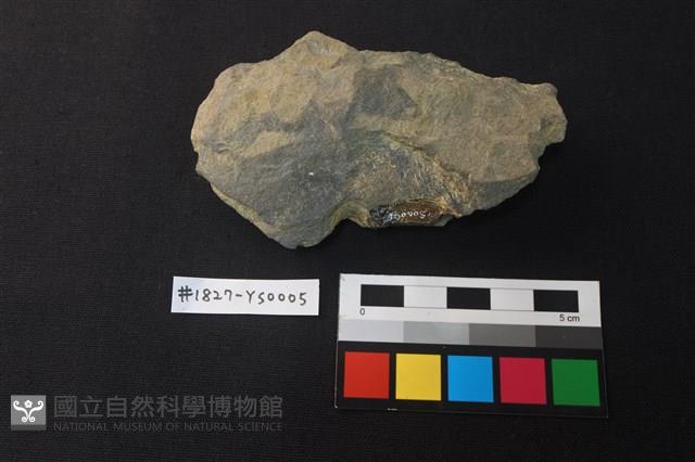 Accession Number:YS0005 Collection Image, Figure 2, Total 2 Figures