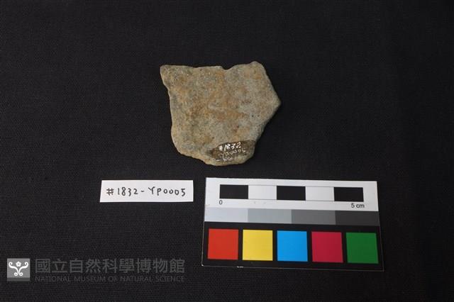 陶片藏品圖，第2張