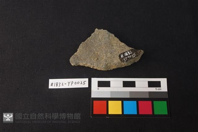 陶片藏品圖，第2張