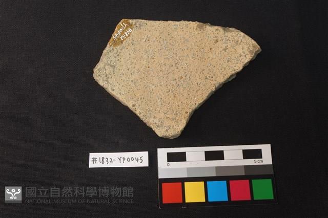 陶片藏品圖，第2張