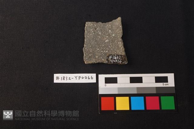 陶片藏品圖，第2張