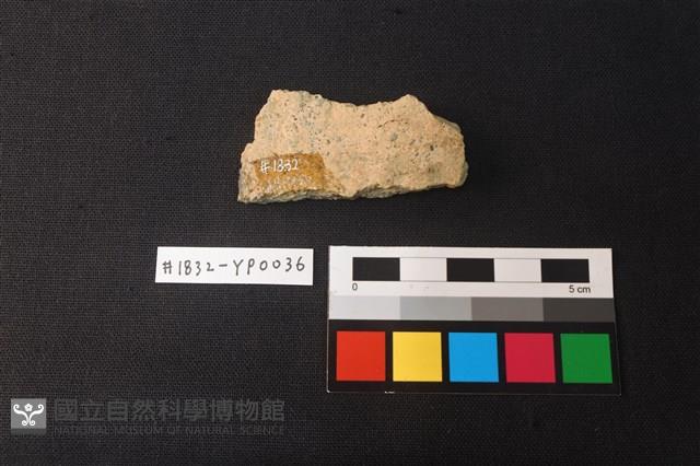 陶片藏品圖，第2張