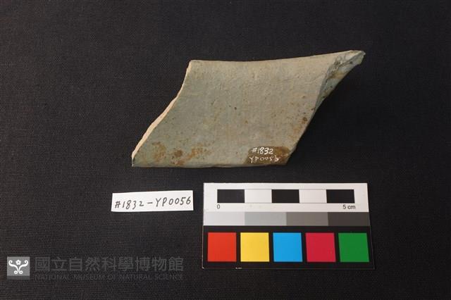陶片藏品圖，第2張