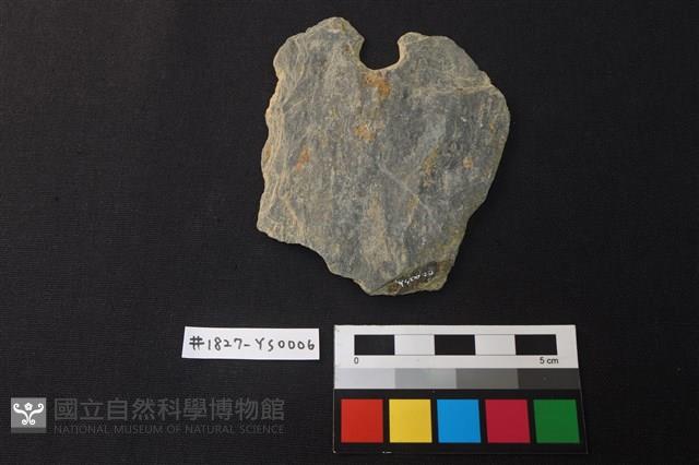 Accession Number:YS0006 Collection Image, Figure 2, Total 2 Figures