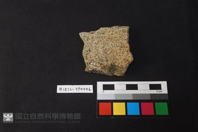 陶片藏品圖，第2張