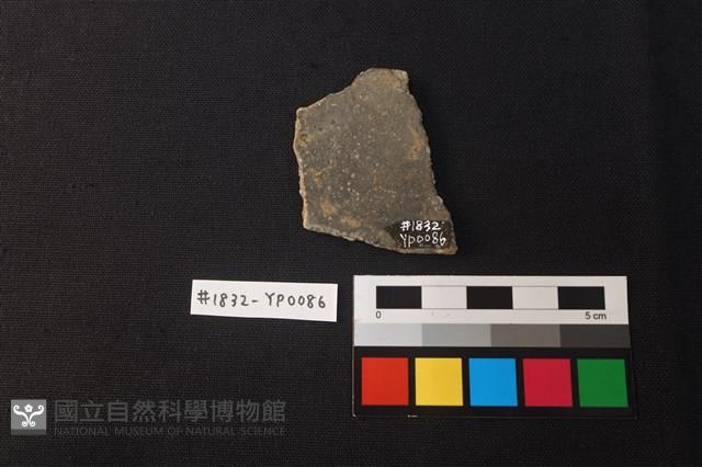 陶片藏品圖，第2張