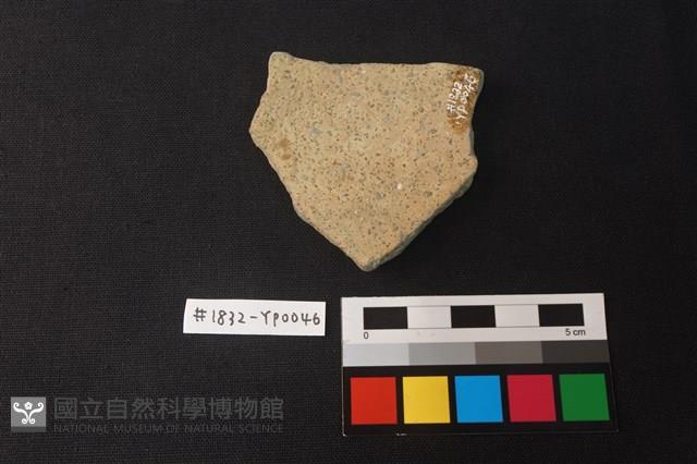 陶片藏品圖，第2張