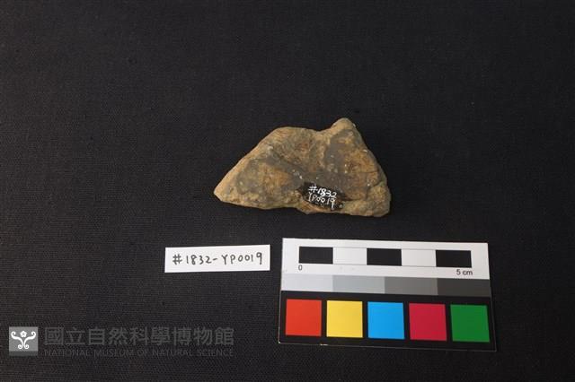 陶片藏品圖，第2張