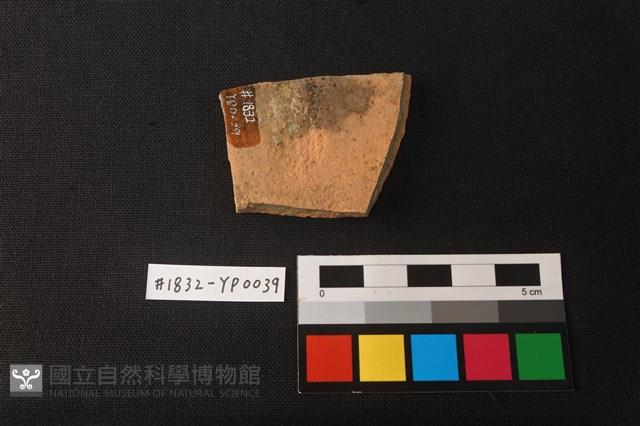 陶片藏品圖，第2張