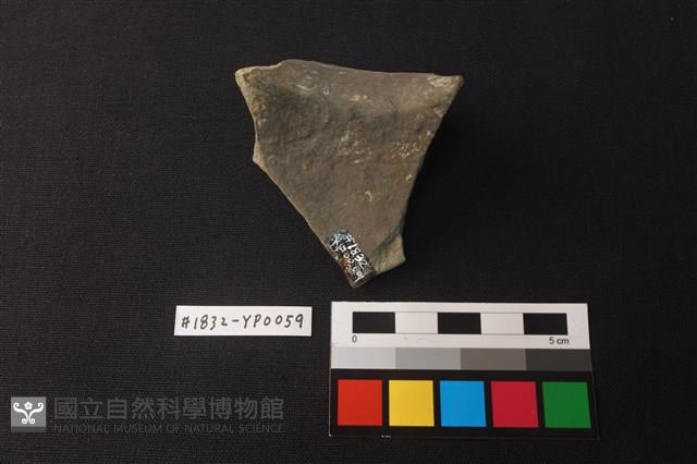 陶片藏品圖，第2張
