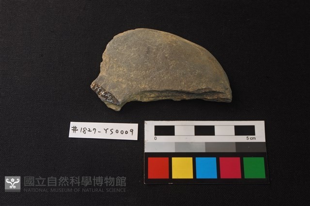 磨製盤形器藏品圖，第2張