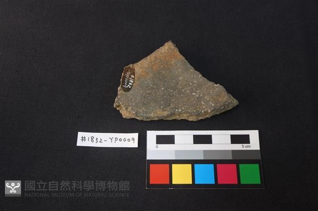 陶片藏品圖，第2張