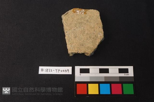 陶片藏品圖，第2張