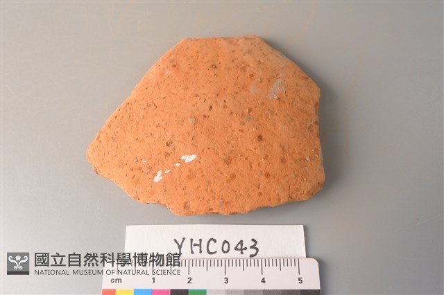 陶片藏品圖，第1張
