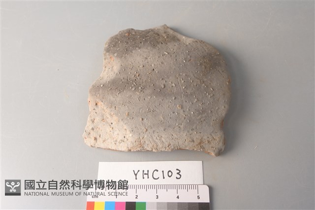 陶片藏品圖，第1張
