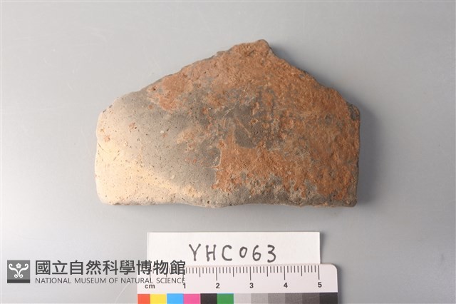 陶片藏品圖，第1張