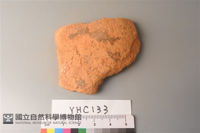 陶片藏品圖，第1張