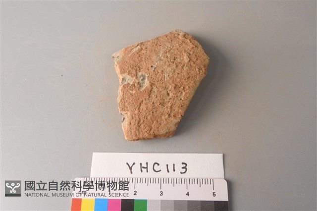 陶片藏品圖，第1張