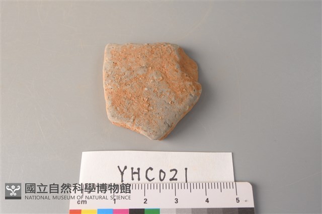 陶片藏品圖，第1張