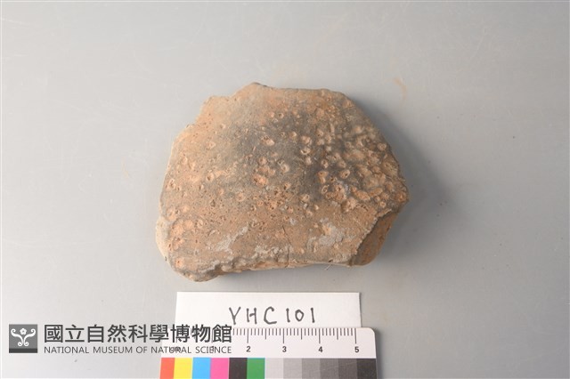 陶片藏品圖，第1張