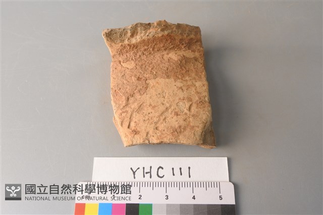 陶片藏品圖，第1張