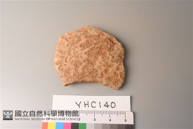 陶片藏品圖，第1張