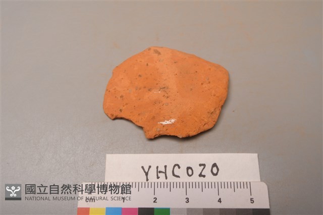 陶片藏品圖，第1張