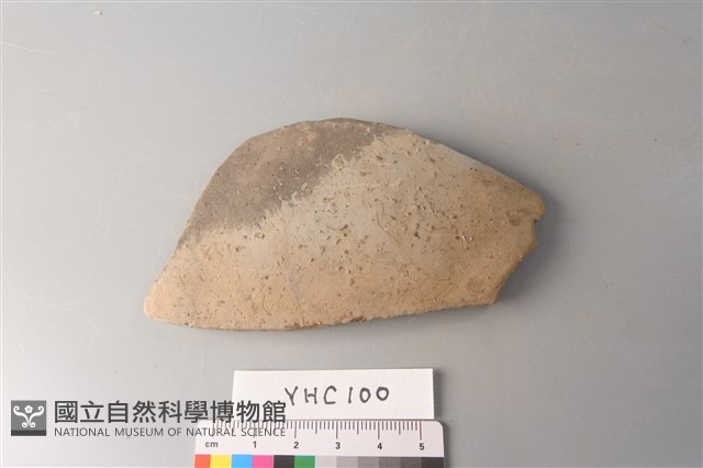 陶片藏品圖，第1張