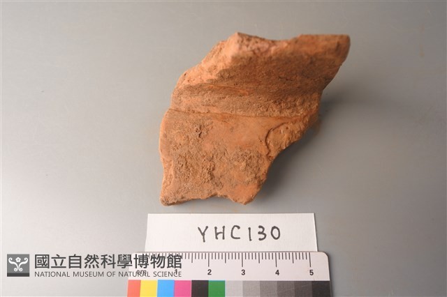陶片藏品圖，第1張