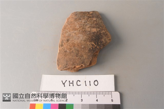 陶片藏品圖，第1張