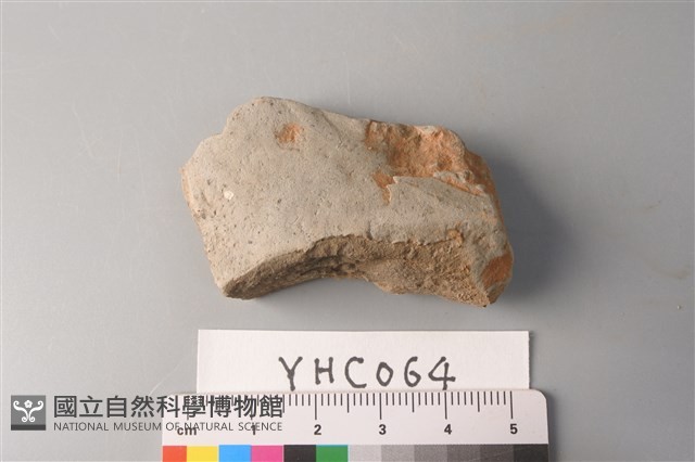 陶片藏品圖，第1張