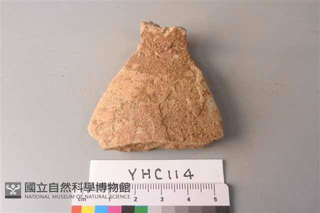 陶片藏品圖，第1張