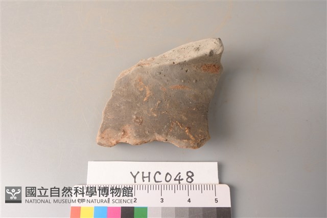 陶片藏品圖，第1張