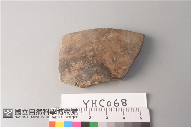 陶片藏品圖，第1張
