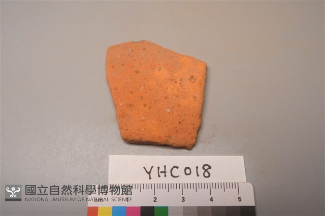 陶片藏品圖，第1張