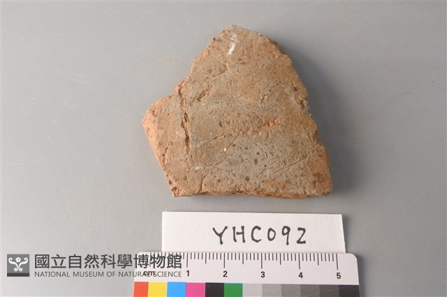 陶片藏品圖，第1張
