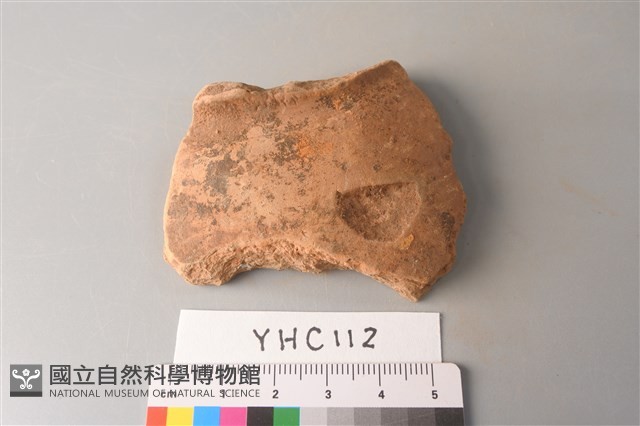 陶片藏品圖，第1張
