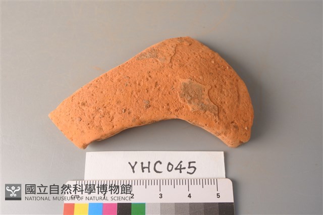 陶片藏品圖，第1張